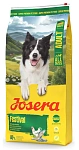 Josera Festival Adult